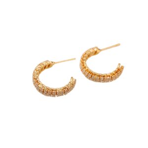 C-Shaped Hoop Earrings